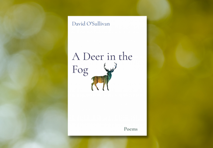 A Poetic Exploration of Hope and Healing: Reviewing David O’Sullivan’s Memoir-in-Poetry