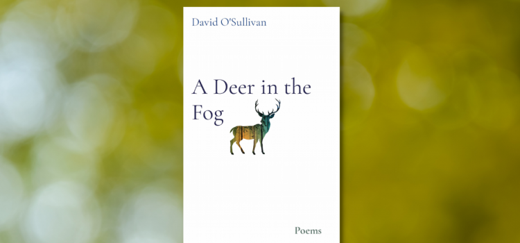 A Poetic Exploration of Hope and Healing: Reviewing David O’Sullivan’s Memoir-in-Poetry